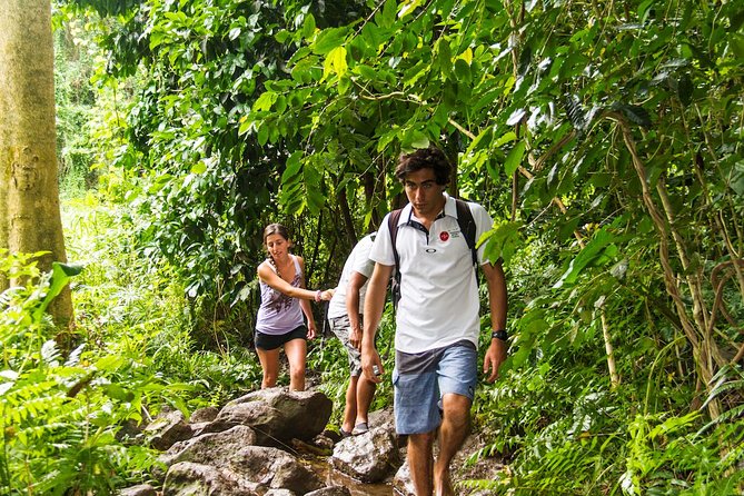 Oahu friendly hiking experience - Private hiking on Oahu: what the guide can actually change