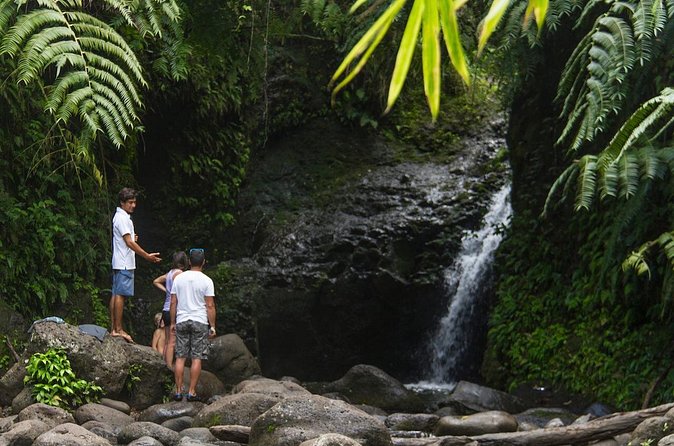 Oahu friendly hiking experience - Maunawili Falls: another waterfall option with a nature-first mood