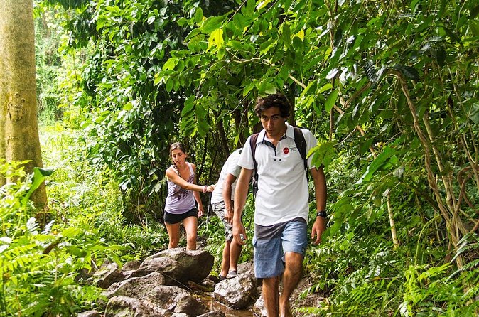 Oahu friendly hiking experience - Makapuu Point Lighthouse Trail: ocean views plus whale watching chances