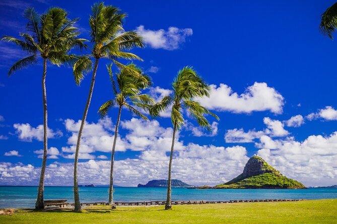 Oahu: Grand Tour Around Island 16 Locations plus Snorkeling - Makapu’u to Waimanalo: East O‘ahu Views and Local Texture