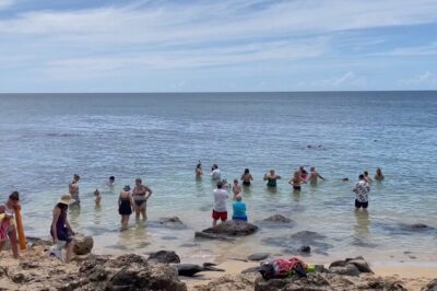 Oahu Guided Circle Island Tour, Swim w/ Turtles, Dole, Blowhole - Waikiki and Diamond Head: the classic Oahu opener