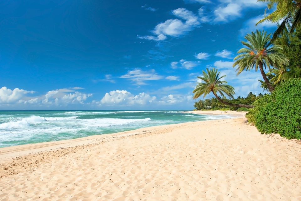 Oahu: Guided Tour of North Shore and Waimea Botanical Garden - North Shore and East End Stops From Waikiki