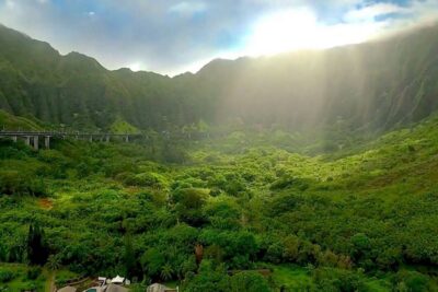 Oahu: Guided Tour of North Shore and Waimea Botanical Garden - Waimea Botanical Garden and Waterfall: the main event, with real weather limits