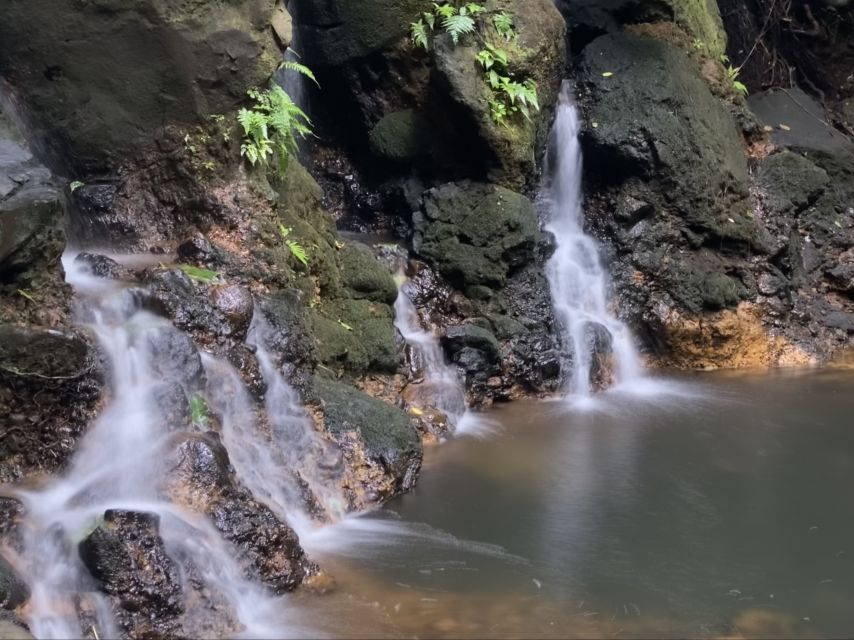Oahu: Half-Day Sunrise Semi-private Tour from Waikiki - A White-Sand Beach and a Fast Waterfall Photo Stop