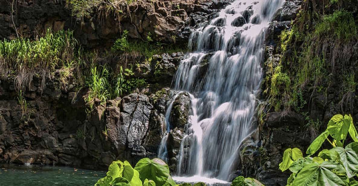 Oahu Hidden Gems & Waimea Botanical Garden/Waterfall tour - Key things that make this tour work