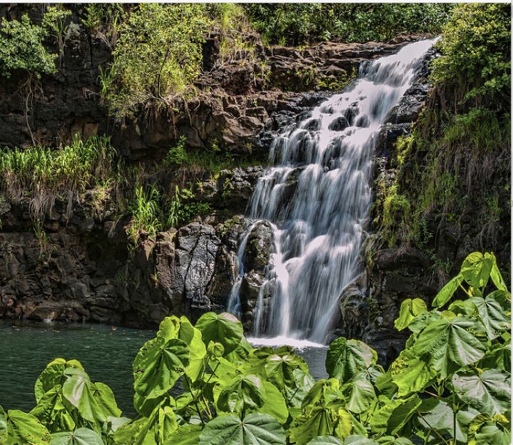 Oahu Hidden Gems & Waimea Botanical Garden/Waterfall tour - Starting in Waikiki: getting value from a long day