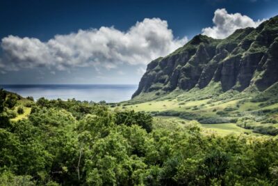 Oahu Hidden Gems & Waimea Botanical Garden/Waterfall tour - Waimea Valley botanical gardens: plants you won’t see anywhere else