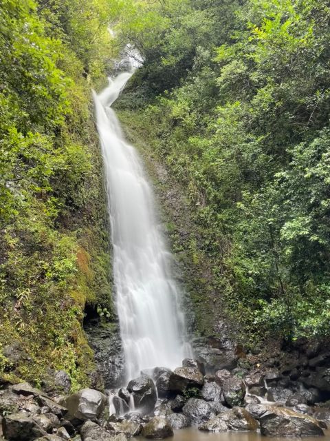 Oahu: Hidden Hawaii Waterfall Hike and Beach Tour - Lulumahu Falls: The Jungle Hike That Feels Personal