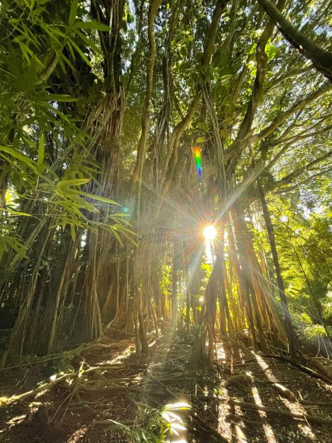 Oahu: Hidden Hawaii Waterfall Hike and Beach Tour - Nuuanu Pali Lookout: Short Stop, Big Payoff