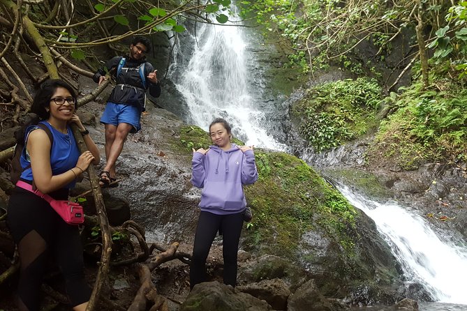 Oahu Hidden Waterfall Hike: A Tropical Paradise Adventure - Getting to Likeke Falls Without a Rental Car