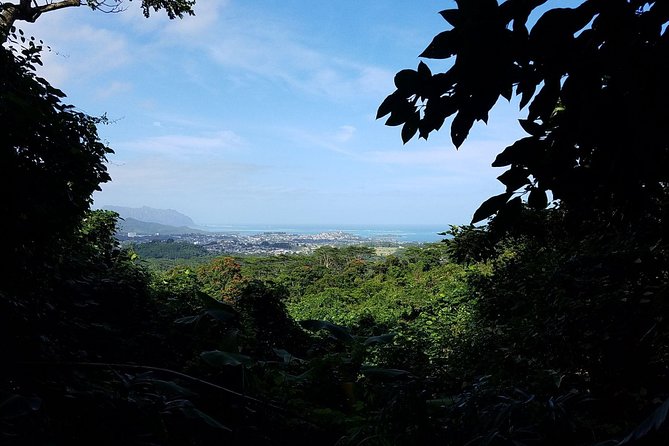 Oahu Hidden Waterfall Hike: A Tropical Paradise Adventure - Price and Value: What $92.31 Buys You