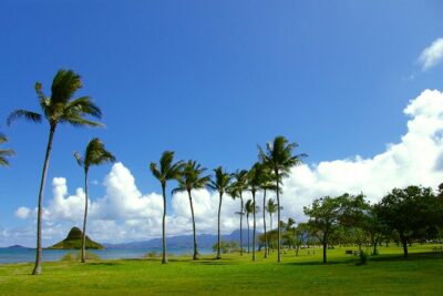 O‘ahu Highlights Private Guided Tour: Landmarks & Architecture - Iolani Palace: when the Hawaiian Kingdom was ahead of its time