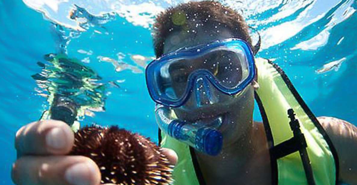 Oahu: Hilton Hawaiian Village Snorkel Tour - Lunch at Sea (If You Choose That Option)
