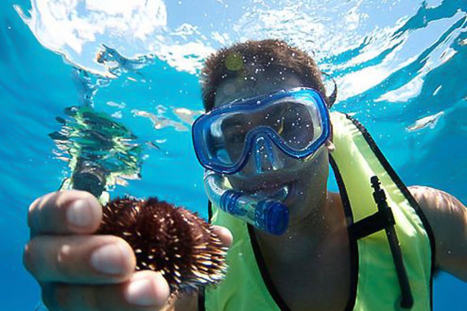 Oahu: Hilton Hawaiian Village Snorkel Tour - What Snorkeling Feels Like Here: Turtles, Fish, and a Real Reef Stop