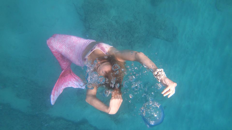 Oahu: Honolulu Mermaid Snorkel Adventure with Videos - Getting There: Picnic Area 37 and Lifeguard Tower 1G Check-In