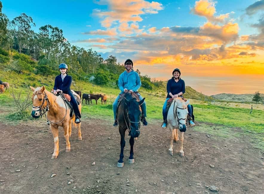 Oahu: Horseback Riding Sunshine or Sunset Tour - What you’re riding: real polo ponies and the helmet rule