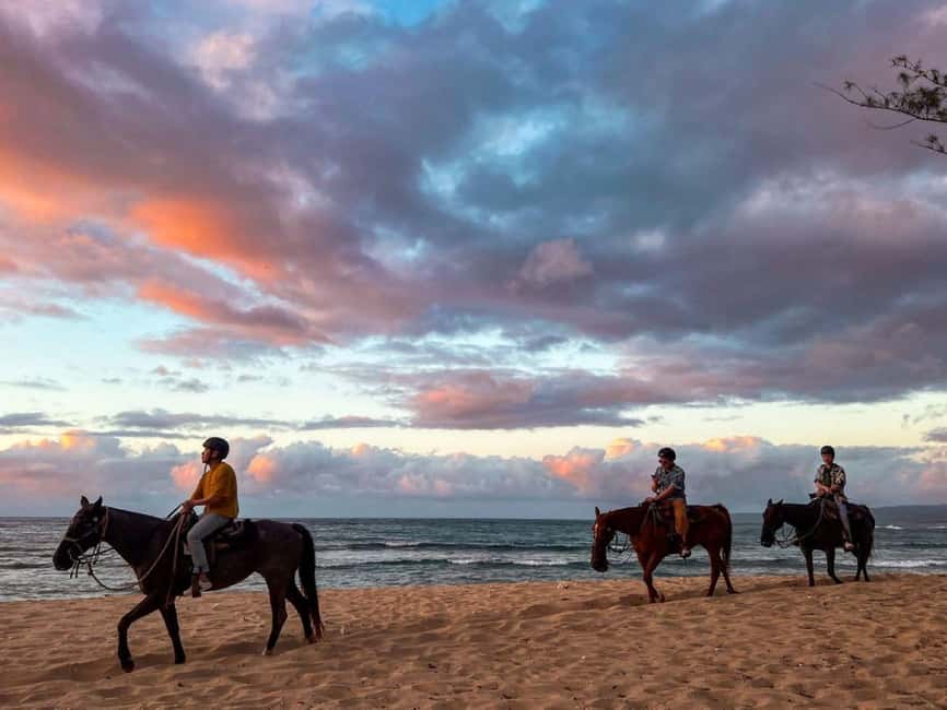 Oahu: Horseback Riding Tour on the North Shore - Key points before you go