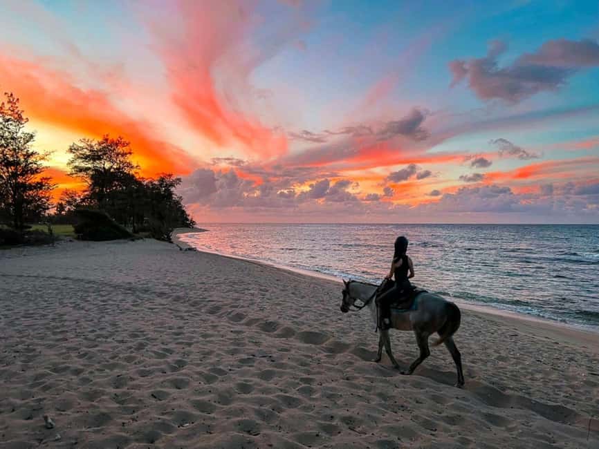 Oahu: Horseback Riding Tour on the North Shore - Meet the Stables, Sign the Waiver, Get Matched by Weight