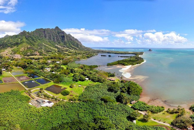 Oahu Island Full-Day Sightseeing Tour - North Shore Time: Kahuku Garlic Shrimp, Haleiwa Wandering, and Sunset Beach