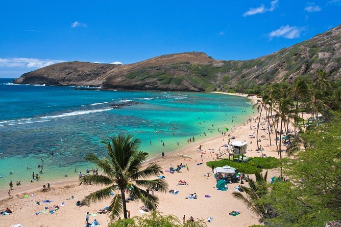 Oahu Island Full-Day Sightseeing Tour - Pacing: How Fast Is Too Fast?