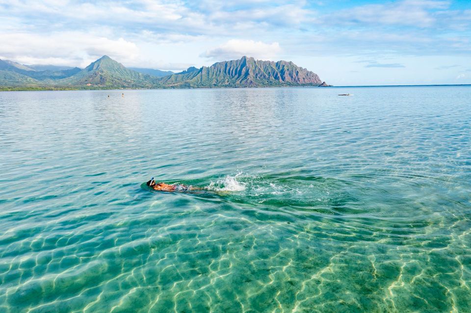 Oahu: Kaneohe Bay Coral Reef Kayaking Rental - Your “no guide” adventure style: what that actually means on the water