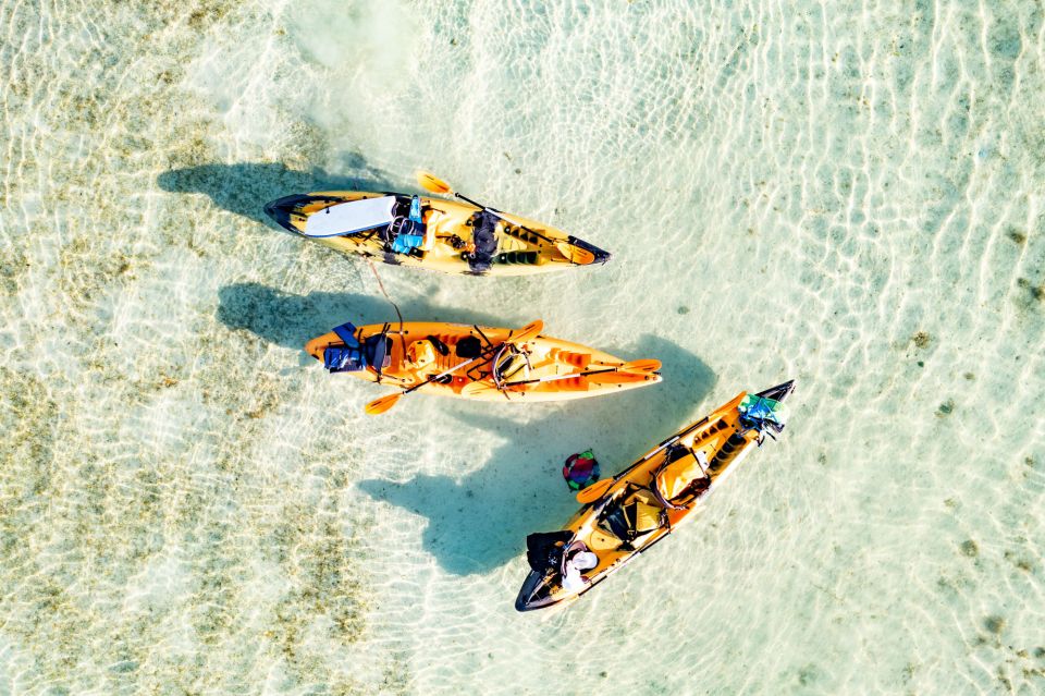 Oahu: Kaneohe Self-Guided Sandbar Kayaking Experience - Timing, Tide, and Getting the Best 4 Hours
