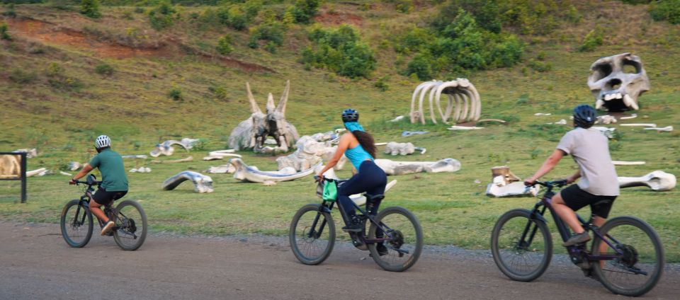 Oahu: Kualoa Electric Bike Tour - Electric Mountain Bike Setup: How the Tour Stays Beginner-Friendly