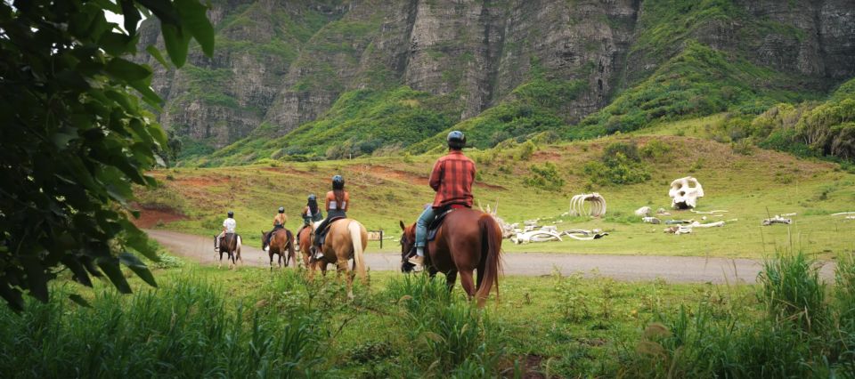 Oahu: Kualoa Hills and Valleys Horseback Riding Tour - Horses, Handling, and Comfort: What the Operation Feels Like