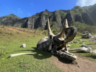 Oahu: Kualoa Movie Sites, Jungle, and Buffet Tour Package - Movie magic starts in Ka’a’awa Valley