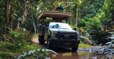 Oahu: Kualoa Open Air Jungle Expedition Tour - Where you meet and how to avoid check-in stress