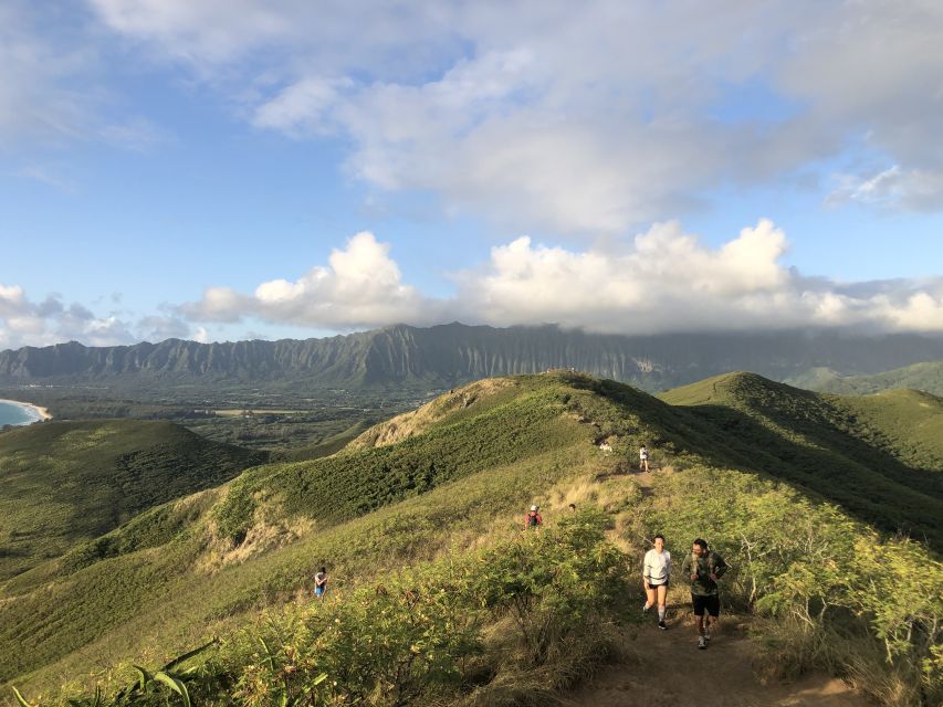 Oahu: Manoa Falls Hike and east side beach day - From Lanai Lookout to Makapu: The East Side Scenic Stops