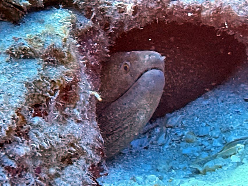 Oahu Night Dive: Adventure for Certified Divers - Second underwater session in near darkness: using underwater lights