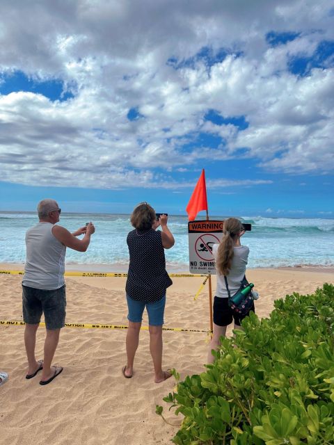 Oahu: North Shore Circle Island Small-Group Tour - Starting in Waikiki: where the day either feels easy or chaotic