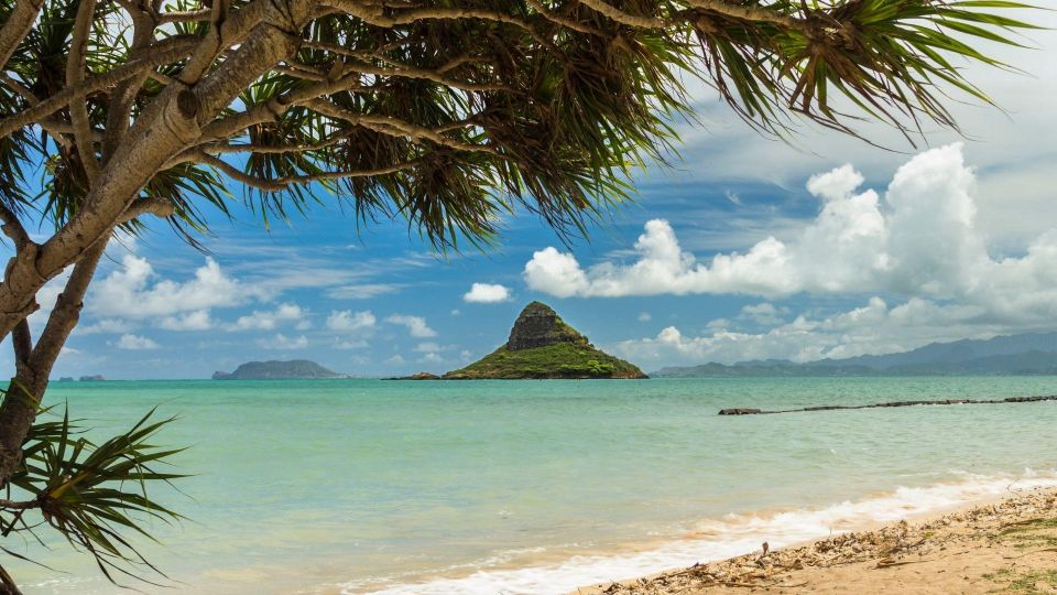 Oahu: North Shore Circle Island Small-Group Tour - Waikiki to Diamond Head: classic island views with quick photo stops
