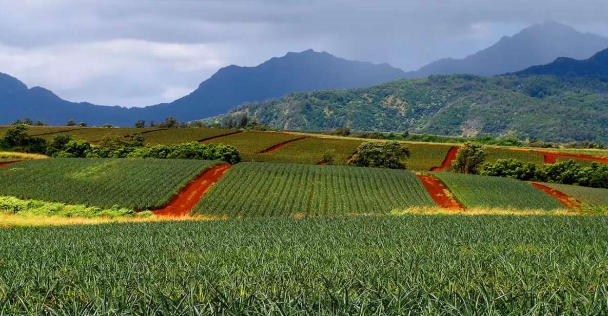 Oahu: North Shore Dole Pineapple Farm Tour - Key things that make this tour worth your time