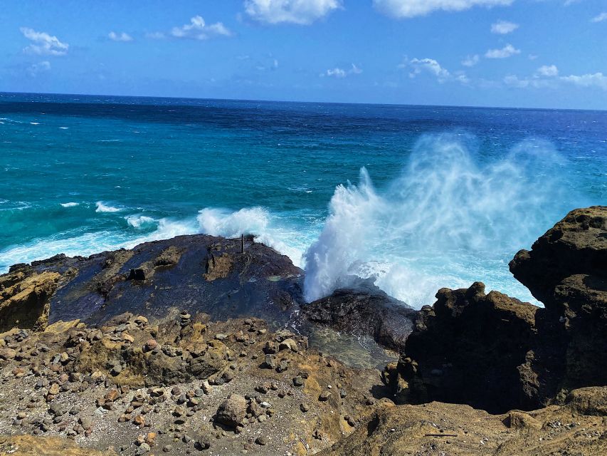 Oahu: North Shore Experience and Dole Plantation - Should You Book This North Shore and Dole Day Trip?