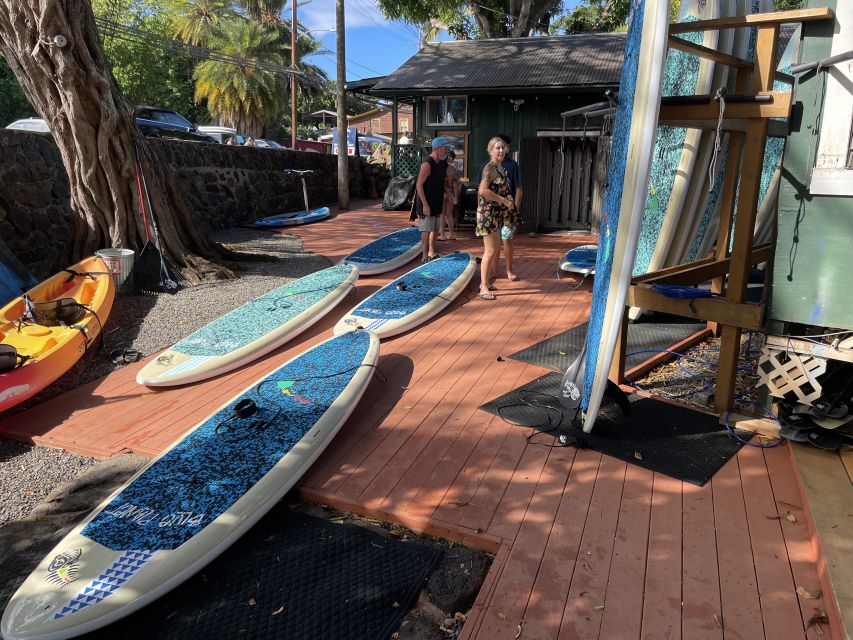 Oahu: North Shore Haleiwa Paddleboard River Adventure - Paddle Time on the Anahulu: Mangroves, Freshwater Springs, and Wildlife