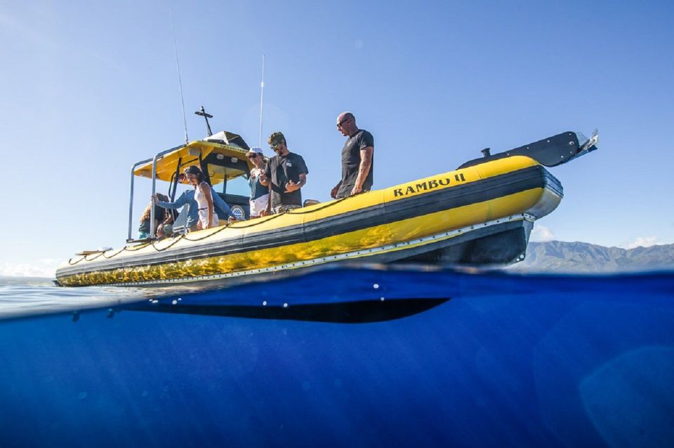 Oahu: North Shore Haleʻiwa: Private Boat Charter - Key Things I’d Aim For on This Charter