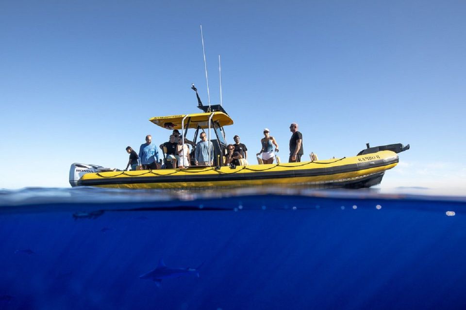Oahu: North Shore Haleʻiwa: Private Boat Charter - Snorkeling Stop: Included Gear and a Clear What-You-Need Approach
