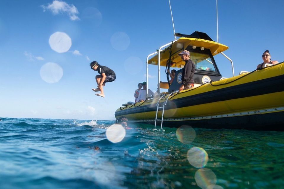 Oahu: North Shore Haleʻiwa: Private Boat Charter - Should You Book This Private Boat Charter?