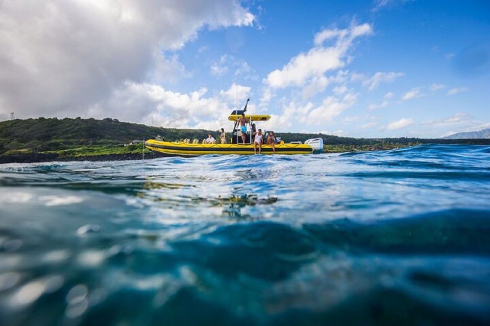 Oahu: North Shore Marine Life Tour from Haleiwa - Key Things You’ll Actually Remember