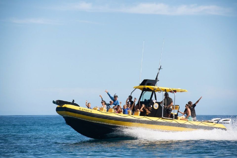 Oahu: North Shore Marine Life Tour from Haleiwa - Booking Notes That Actually Affect Your Trip