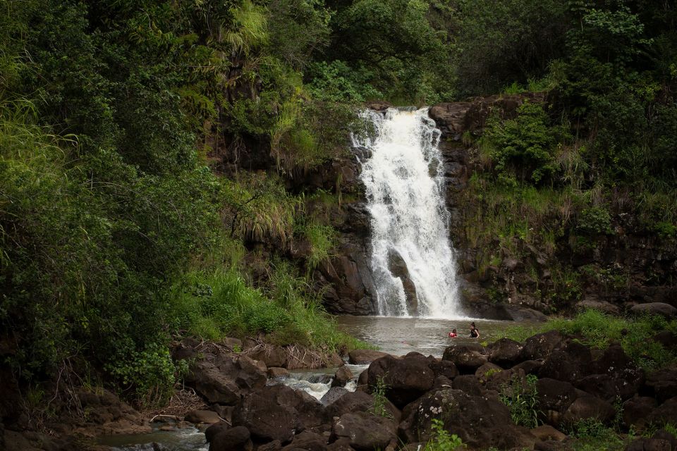 Oahu: North Shore Waterfall Swim - Key Points Worth Noting Before You Go
