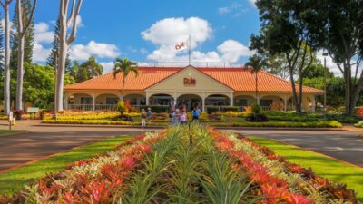 Oahu: Oahu Ultimate Grand Circle Island Tour - Waikiki Pickup at 2412 Koa Ave: Where Patience Pays