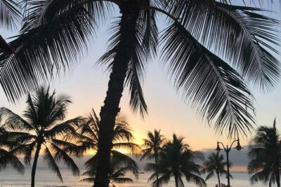 Oahu Personalized Private Tour - Diamond Head and Halona: Two Stops That Set the Tone for the Whole Day