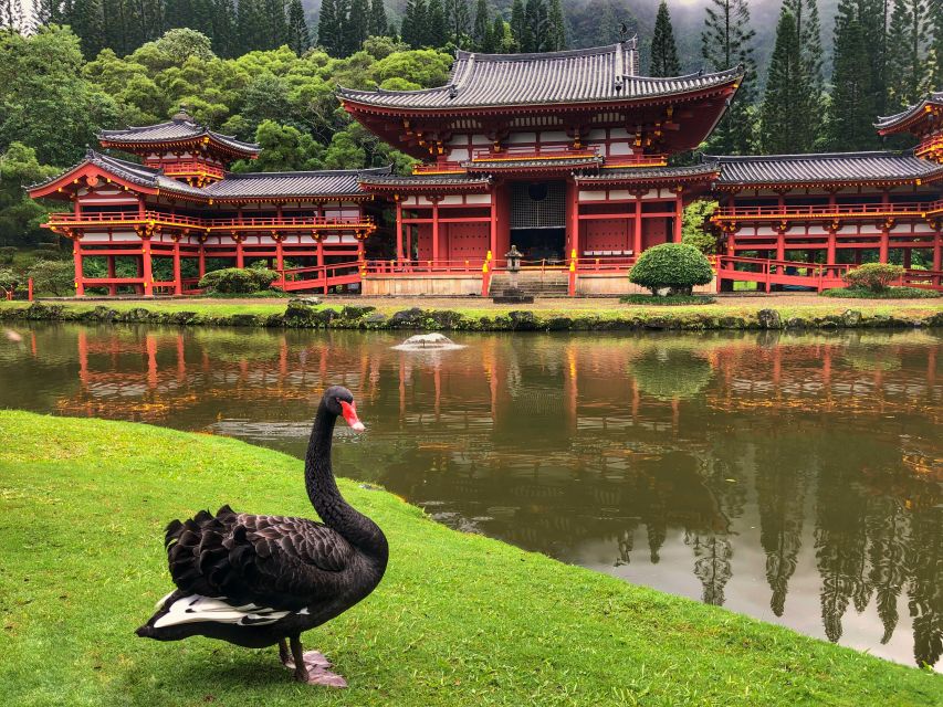 Oahu: Private Best of Oahu Sightseeing Tour - Byodo-in Temple: A Calm Cultural Stop You Don’t Have to Rush