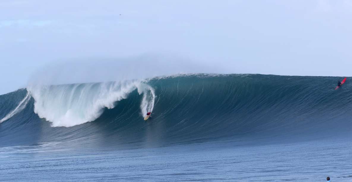 Oahu: Private Surfing Lesson with Local Big Wave Surfer - Key Highlights You’ll Care About