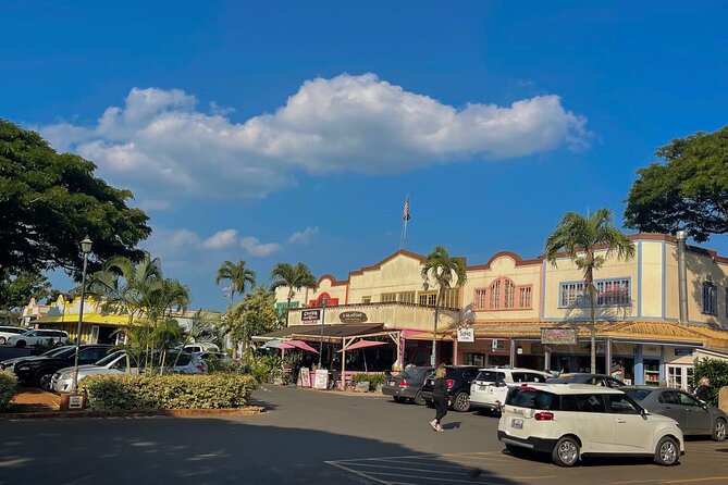 Oahu Private Tour North Shore, Waimea Falls and Dole Plantation - Laniakea Beach turtle viewing without crowding