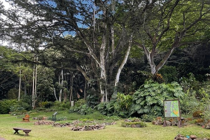 Oahu Private Tour North Shore, Waimea Falls and Dole Plantation - Sunset Beach and the North Shore surf classics in quick succession