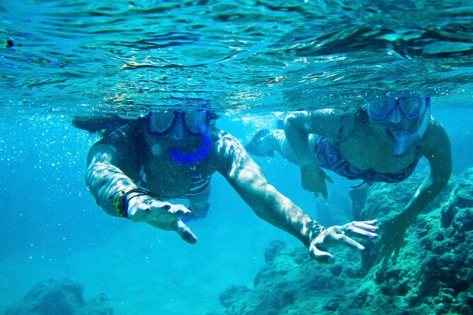 Oahu Private Tour North Shore, Waimea Falls and Dole Plantation - Haleiwa in 30 minutes: shops, art, and quick sweet stops